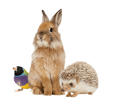 Dealer Image for TELUS Rewards